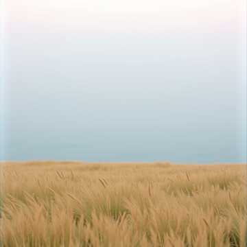 The Noise of Tel Aviv cover art