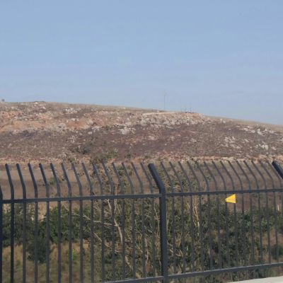 General Border Photos - pexels-danielrosehill-5406886.webp