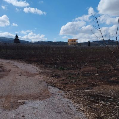 Ghajar - pexels-danielrosehill-15530924.webp