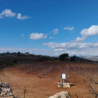 Ghajar - pexels-danielrosehill-15665509.webp