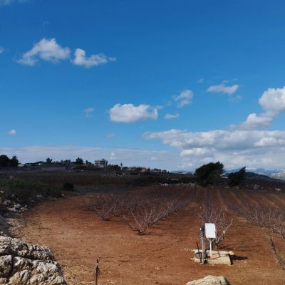 Ghajar - pexels-danielrosehill-15665510.webp